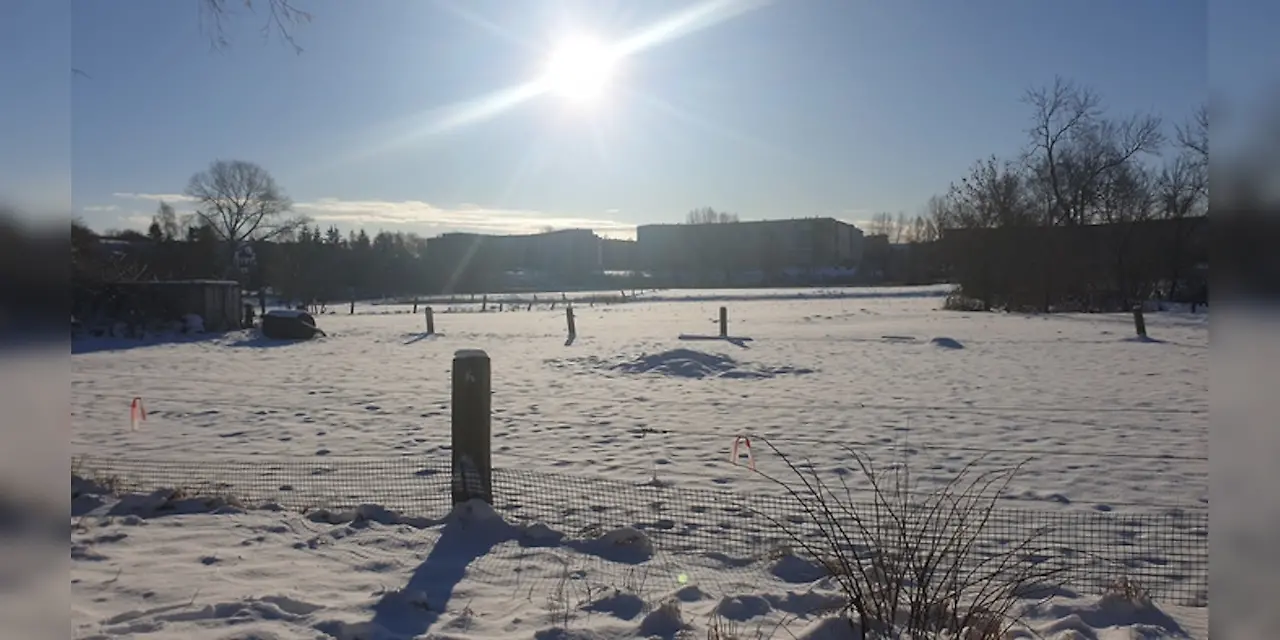 Hörerfoto Rostock-Toitenwinkel Dorf - Georgia aus Rostock