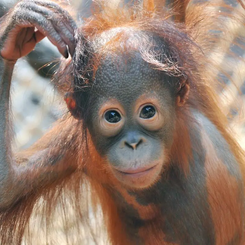 Zoo Rostock
